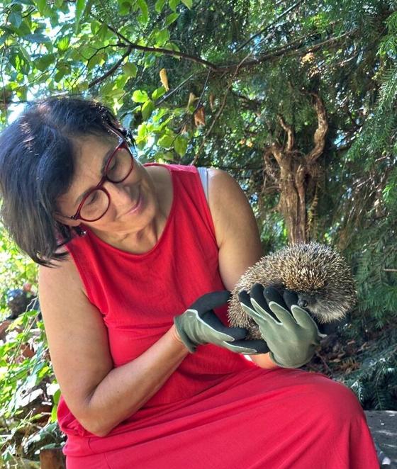 Ursula Ertl mit einem geretteten Igel in den Händen
