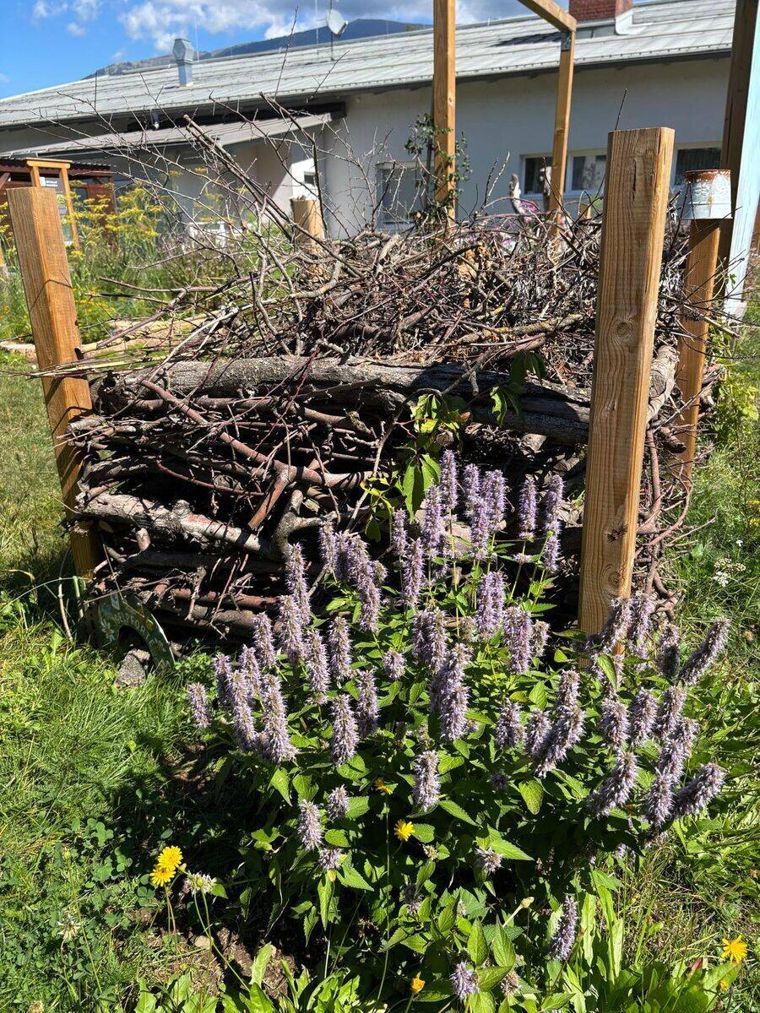 Aufgeschichtete Totholzhecke zwischen Holzpfosten im Garten, davor blühende Duftnessel und am Fuß eine handbemalte grüne Tafel mit der Aufschrift Igelpforte
