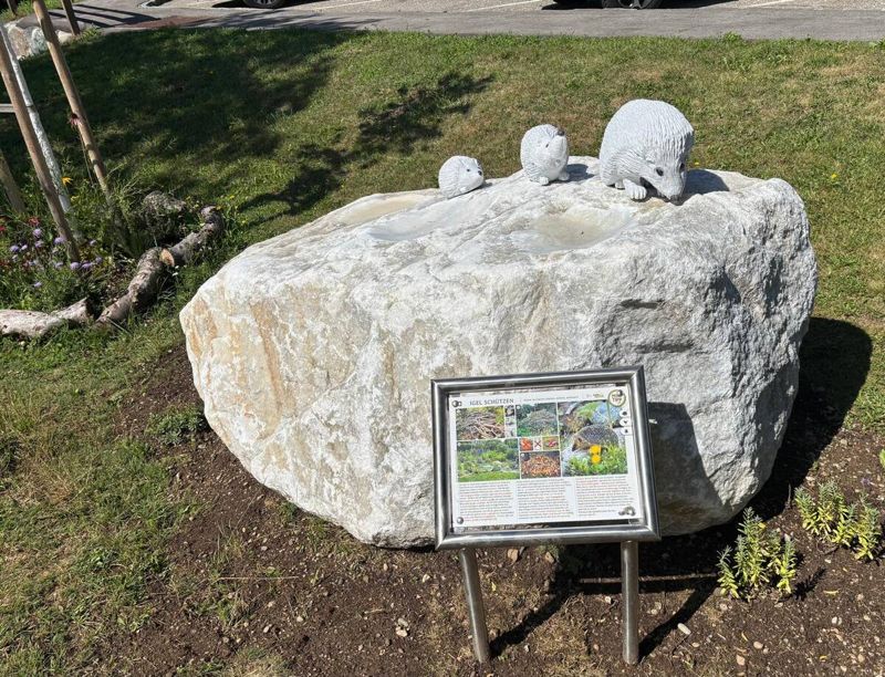 Igelskulpturen aus Holz neben einer Infotafel auf dem SOS-Igellehr- und Lernpfad in Feistritz an der Drau