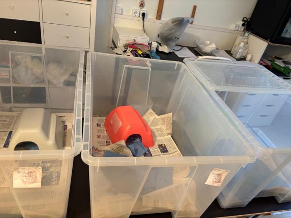 Beschriftete Pflegeboxen mit Schlafhäuschen und Zeitungspapier in der Igelstation