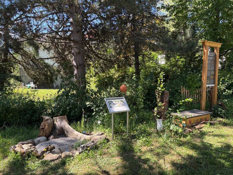 Baumstumpf mit Steinkranz, daneben eine Pulttafel und ein hölzernes Igelfutterhaus auf dem Lehrpfad