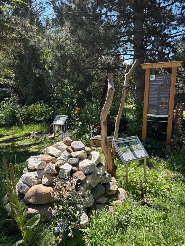 Aufgeschichtete Steinpyramide mit Totholzstamm daneben, umgeben von Info-Tafeln des Lehrpfads