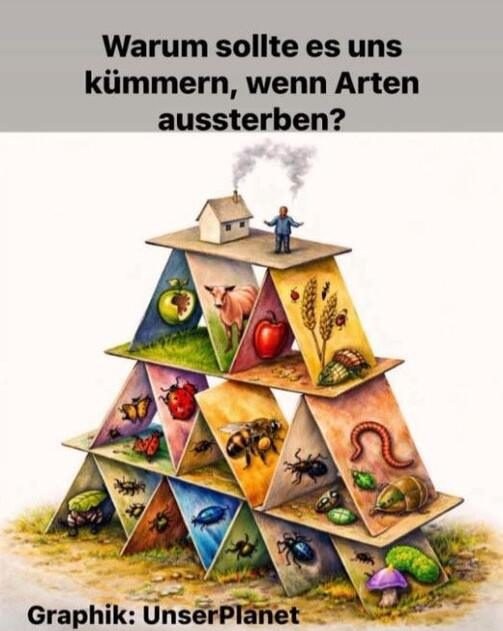 Illustriertes Kartenhaus aus Spielkarten mit Insekten, Vögeln, Nutzpflanzen und Vieh auf den Ebenen, ganz oben Haus und Mensch – Sinnbild dafür, wie das Ökosystem einstürzt, wenn Arten wegfallen