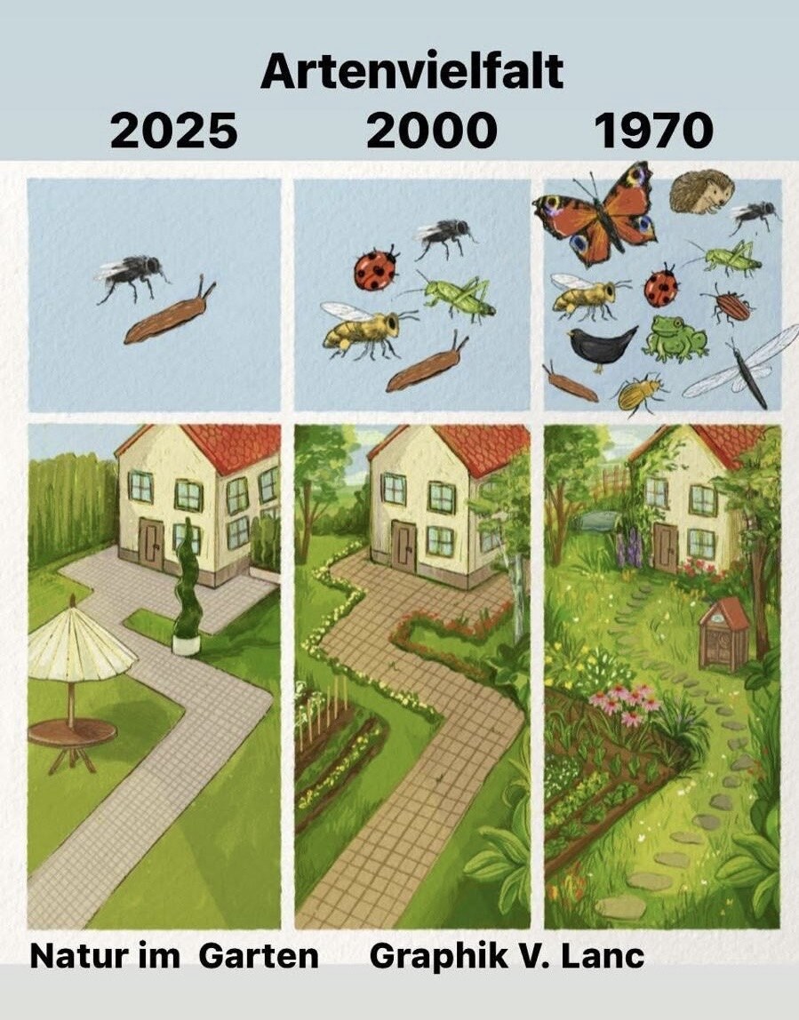 Infografik zur Entwicklung der Artenvielfalt im Garten zwischen 1970 und 2025 mit deutlich abnehmender Zahl an Insekten- und Tierarten