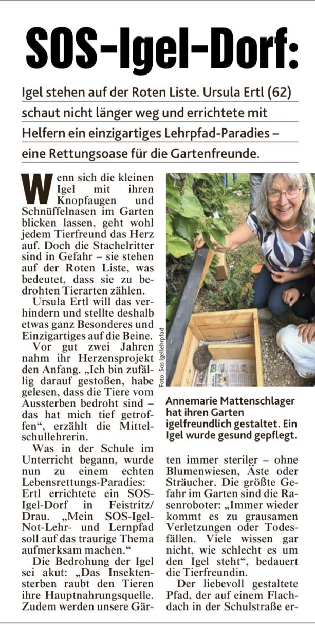 Erste Berichtsseite der Kronen Zeitung vom 6. September 2026 mit der Schlagzeile „SOS-Igel-Dorf“: Igel stehen auf der Roten Liste, Ursula Ertl (62) schaut nicht länger weg und errichtete mit Helfern ein einzigartiges Lehrpfad-Paradies. Daneben ein Foto von Annemarie Mattenschlager, die ihren Garten igelfreundlich gestaltet hat.