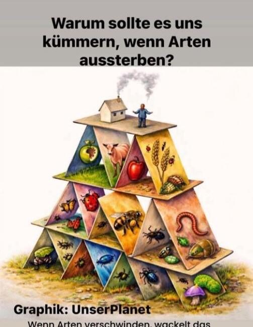Illustriertes Kartenhaus aus Spielkarten mit Insekten, Vögeln, Nutzpflanzen und Vieh auf den Ebenen, ganz oben Haus und Mensch – Sinnbild dafür, wie das Ökosystem einstürzt, wenn Arten wegfallen