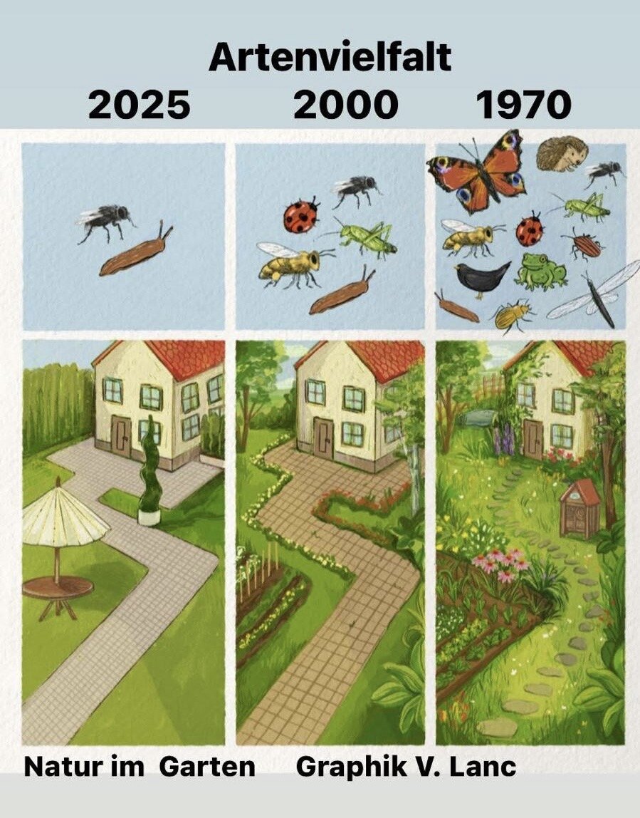 Infografik zur Entwicklung der Artenvielfalt im Garten zwischen 1970 und 2025 mit deutlich abnehmender Zahl an Insekten- und Tierarten